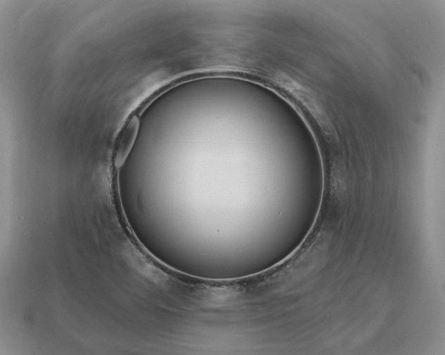 X0000113271460200909241533
