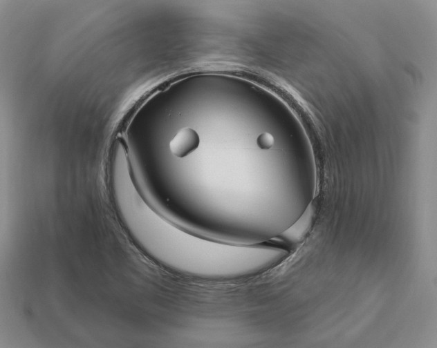 X0000113271461200909241533