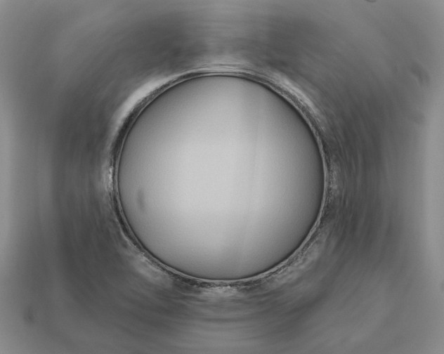 X0000113271462200909241533