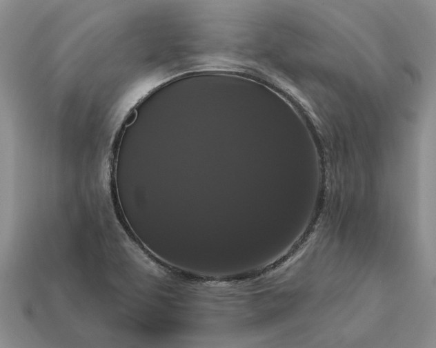 X0000113271463200909241533