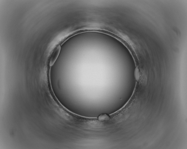 X0000113271464200909241533