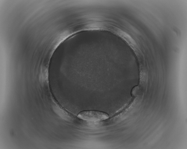 X0000113271465200909241533