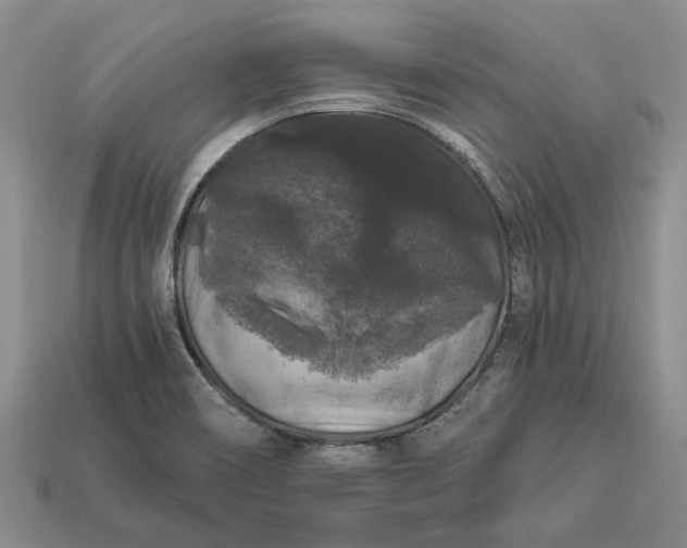 X0000113271466200909241533