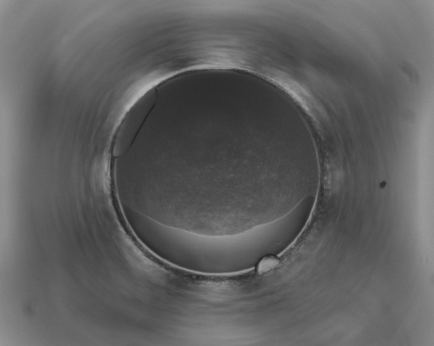 X0000113271468200909241533