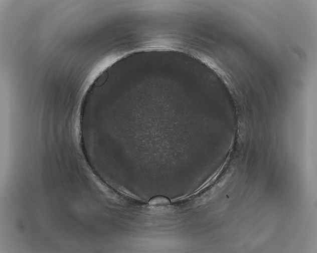 X0000113271469200909241533