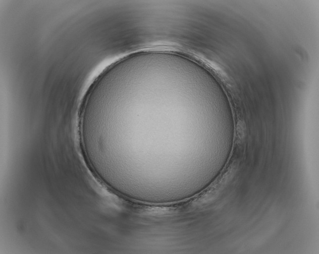 X0000113271470200909241533