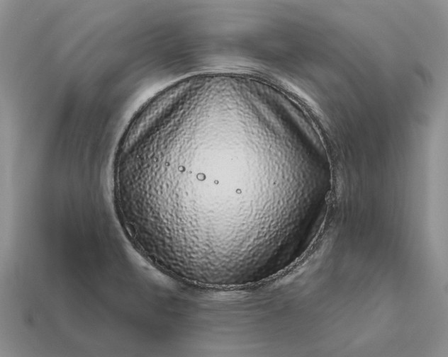 X0000113271471200909241533