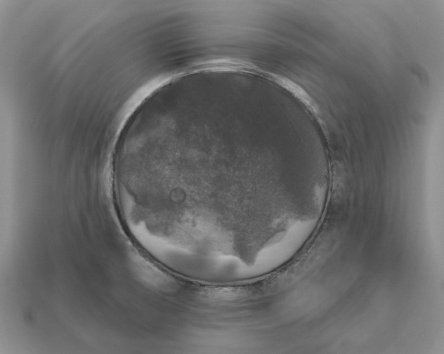 X0000113271474200909241533
