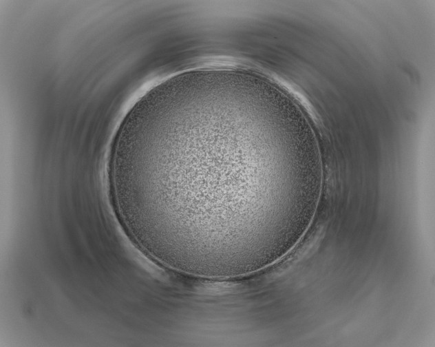 X0000113271475200909241533