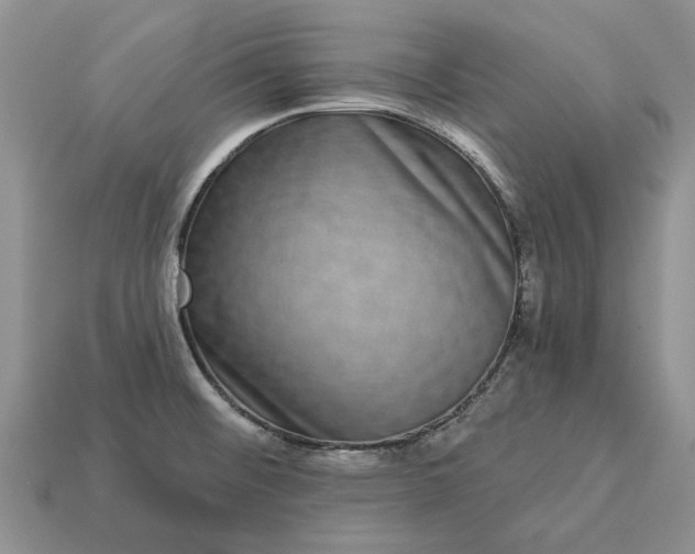 X0000113271476200909241533