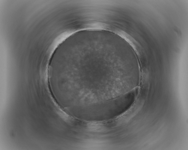 X0000113271477200909241533