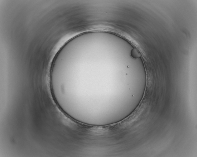 X0000113271478200909241533