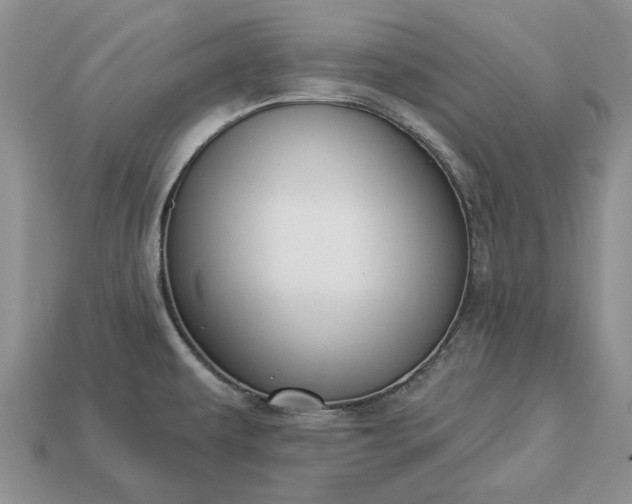 X0000113271479200909241533