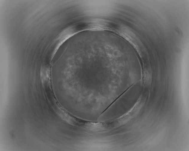 X0000113271481200909241533