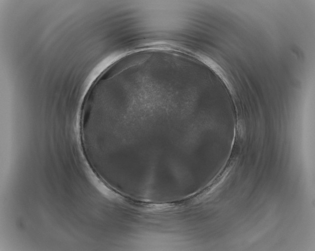 X0000113271482200909241533