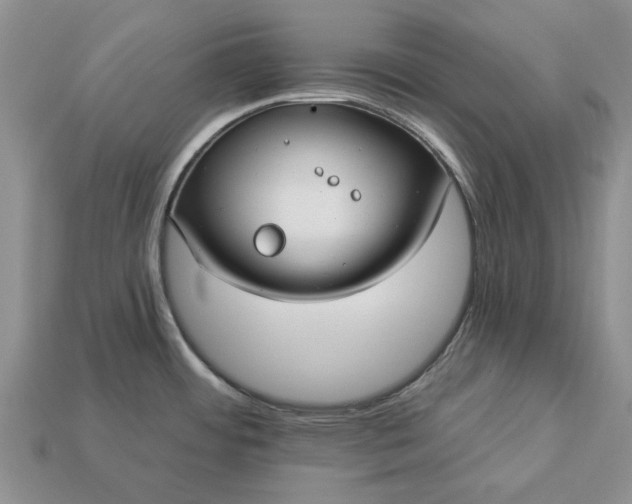 X0000113271484200909241533