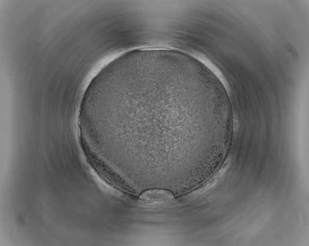 X0000113271485200909241533