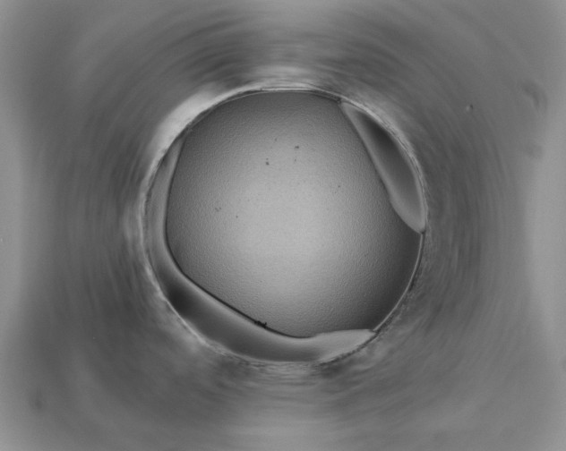 X0000113271488200909241533