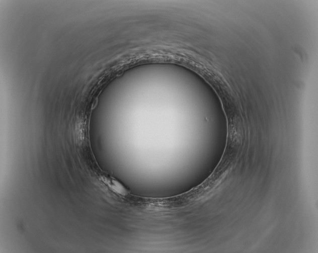 X0000113271490200909241532
