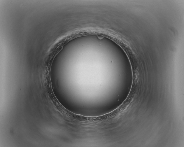 X0000113271494200909241532