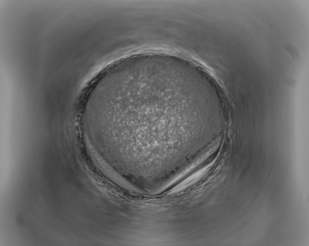 X0000113271496200909241532