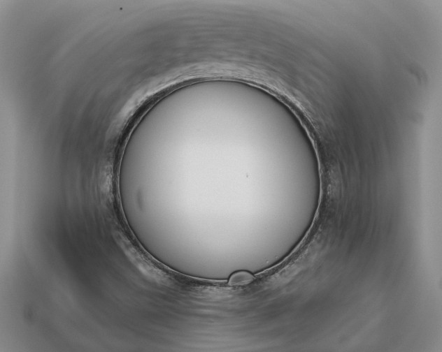 X0000113271499200909241532