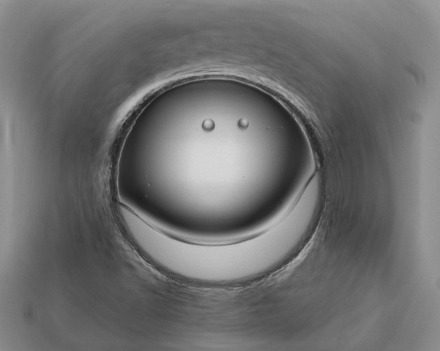 X0000113271502200909241532
