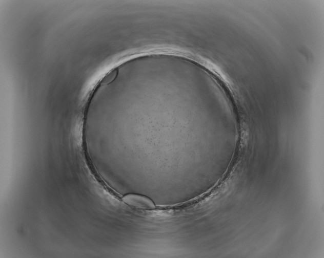 X0000113271504200909241532