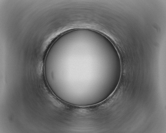 X0000113271507200909241532