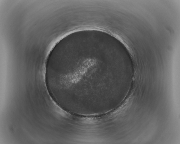 X0000113271508200909241532