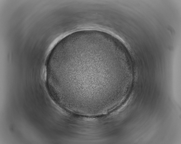 X0000113271509200909241532