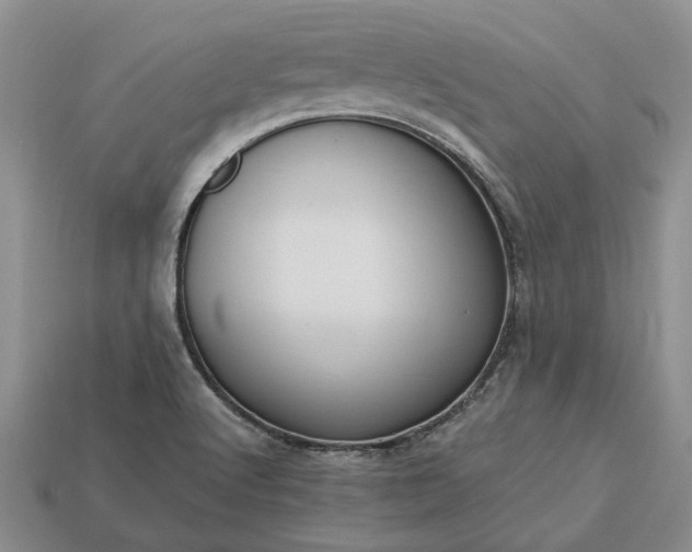 X0000113271512200909241532