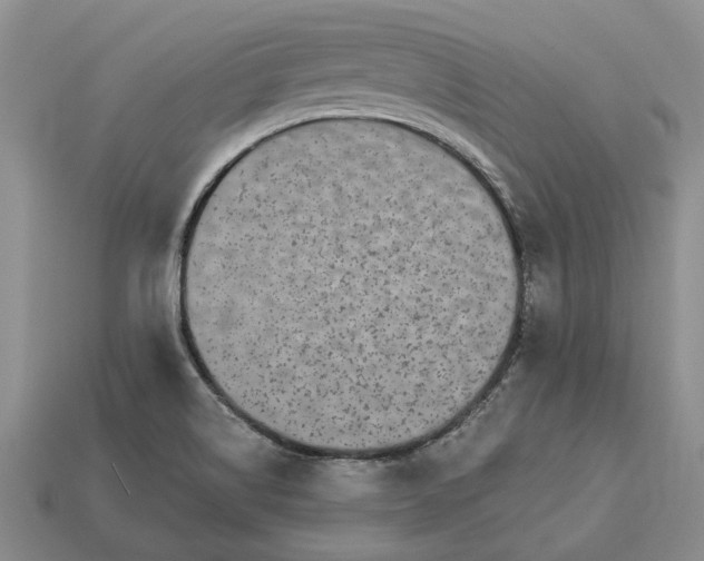 X0000113271514200909241532