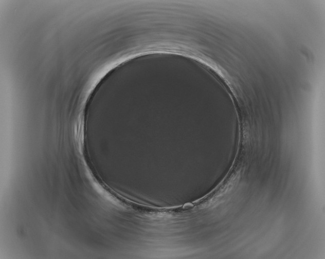 X0000113271515200909241532