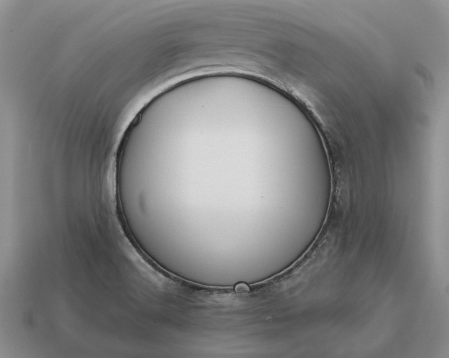 X0000113271516200909241532
