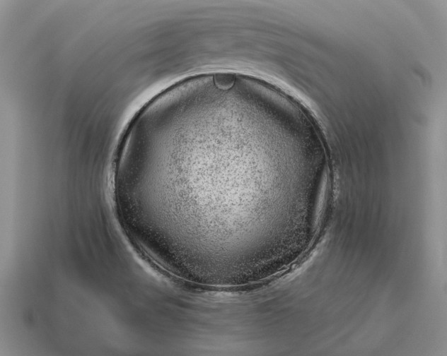 X0000113271517200909241533