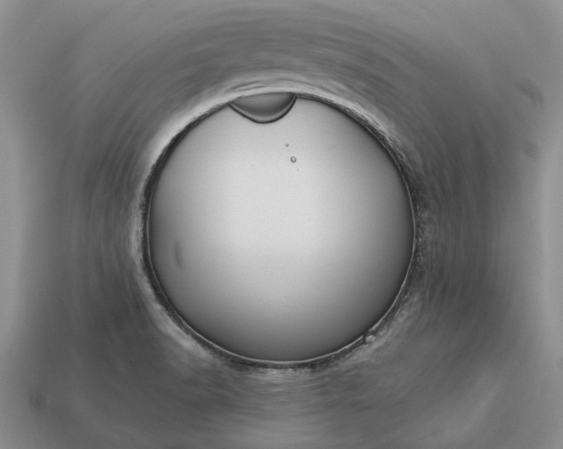 X0000113271518200909241533
