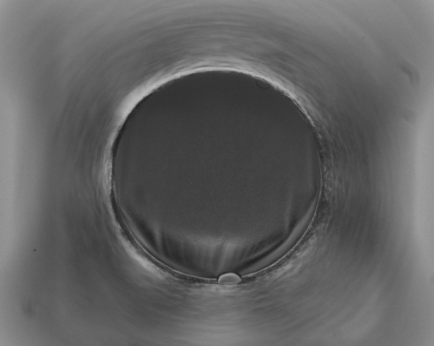 X0000113271519200909241533