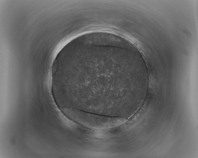 X0000113271520200909241533