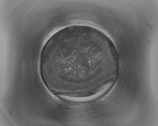 X0000113271525200909241533