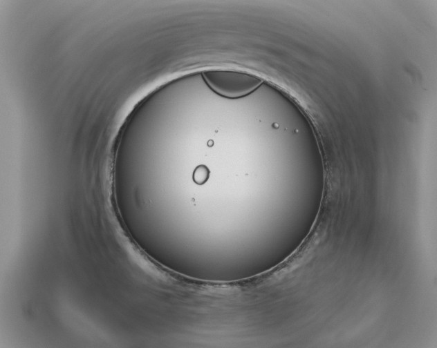X0000113271526200909241533