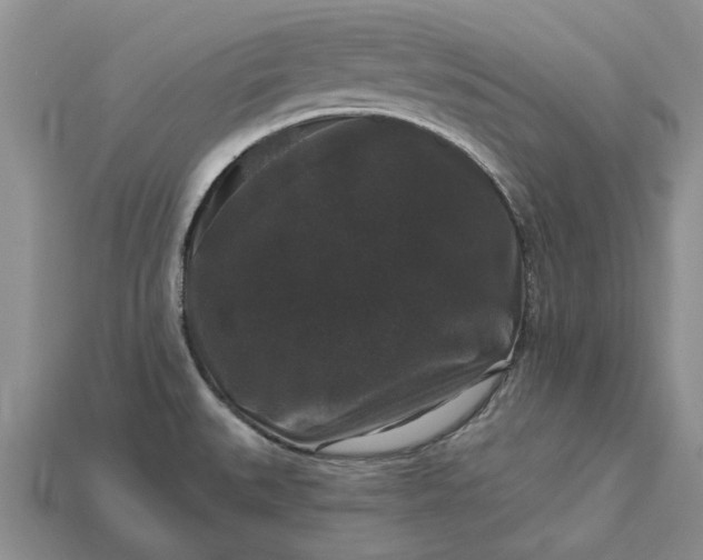 X0000113271527200909241533