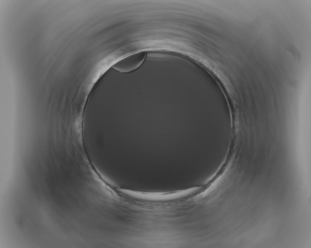 X0000113271529200909241533
