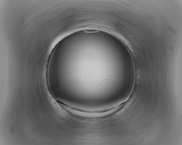 X0000113271530200909241533