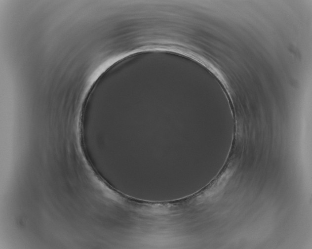 X0000113271533200909241533