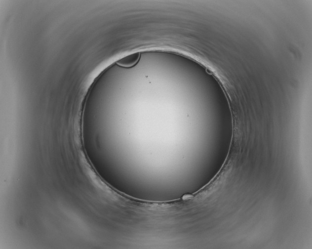 X0000113271534200909241533