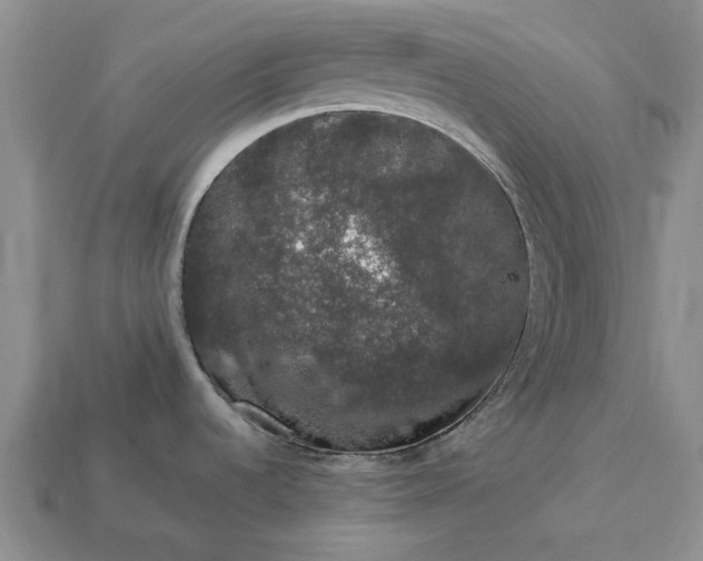 X0000113271536200909241533