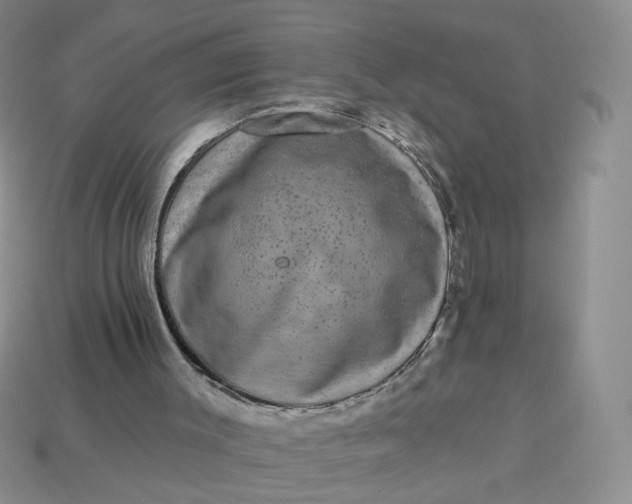 X0000113270003200910011438