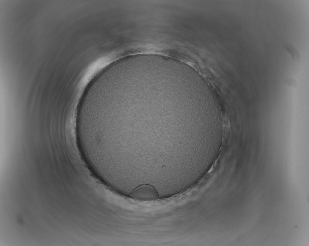 X0000113270006200910011438