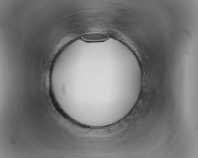 X0000113270011200910011438